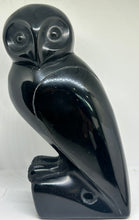 Load image into Gallery viewer, Black Obsidian Owls