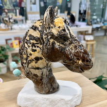 Load image into Gallery viewer, Picture Jasper Horse Head