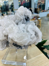Load image into Gallery viewer, White Calcite Cluster