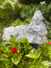 Load image into Gallery viewer, Chrysanthemum Quartz Cluster