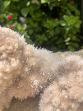 Load image into Gallery viewer, Starburst Gypsum