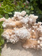 Load image into Gallery viewer, White Stalactite Calcite Cluster