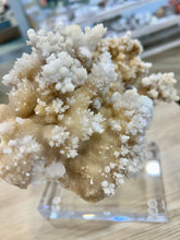 Load image into Gallery viewer, White Stalactite Calcite Cluster