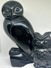Load image into Gallery viewer, Black Obsidian Owls