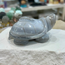Load image into Gallery viewer, Agate Turtle