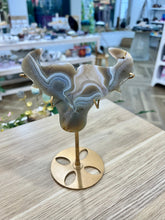 Load image into Gallery viewer, Agate Bull Head
