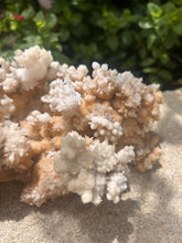 Load image into Gallery viewer, White Stalactite Calcite Cluster