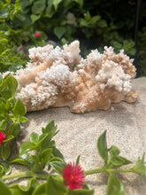 Load image into Gallery viewer, White Stalactite Calcite Cluster