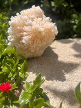 Load image into Gallery viewer, White Stalactite Calcite Cluster