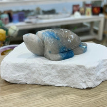 Load image into Gallery viewer, Trolliete Turtle