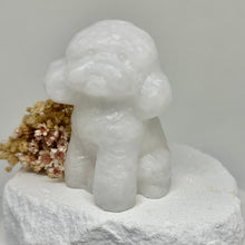 Load image into Gallery viewer, Poodles