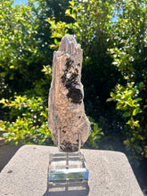 Load image into Gallery viewer, Blue Kyanite