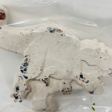 Load image into Gallery viewer, Fossicking Plasters