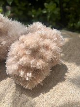 Load image into Gallery viewer, Starburst Gypsum