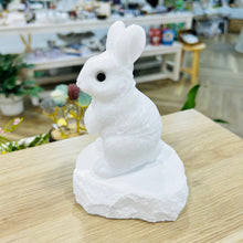 Load image into Gallery viewer, White Jade Bunny