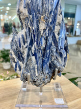 Load image into Gallery viewer, Blue Kyanite