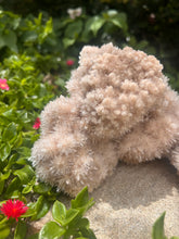 Load image into Gallery viewer, Starburst Gypsum