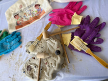 Load image into Gallery viewer, Fossicking Plasters