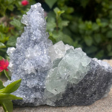 Load image into Gallery viewer, Chrysanthemum Quartz Cluster