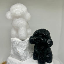Load image into Gallery viewer, Poodles