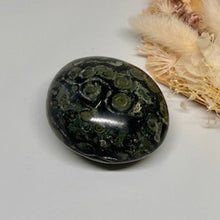 Load image into Gallery viewer, Kambaba Jasper