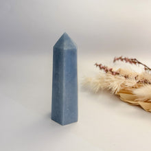 Load image into Gallery viewer, Trolleite Point