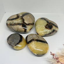 Load image into Gallery viewer, Septarian Palm