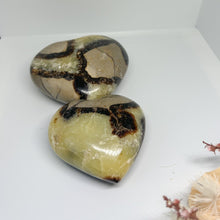 Load image into Gallery viewer, Septarian Palm