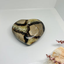 Load image into Gallery viewer, Septarian Palm