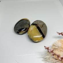 Load image into Gallery viewer, Septarian Palm