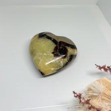 Load image into Gallery viewer, Septarian Palm