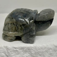 Load image into Gallery viewer, Mini Turtles
