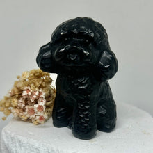 Load image into Gallery viewer, Poodles
