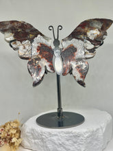 Load image into Gallery viewer, Mexican Crazy Lace Butterfly
