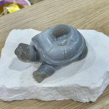 Load image into Gallery viewer, Agate Turtle

