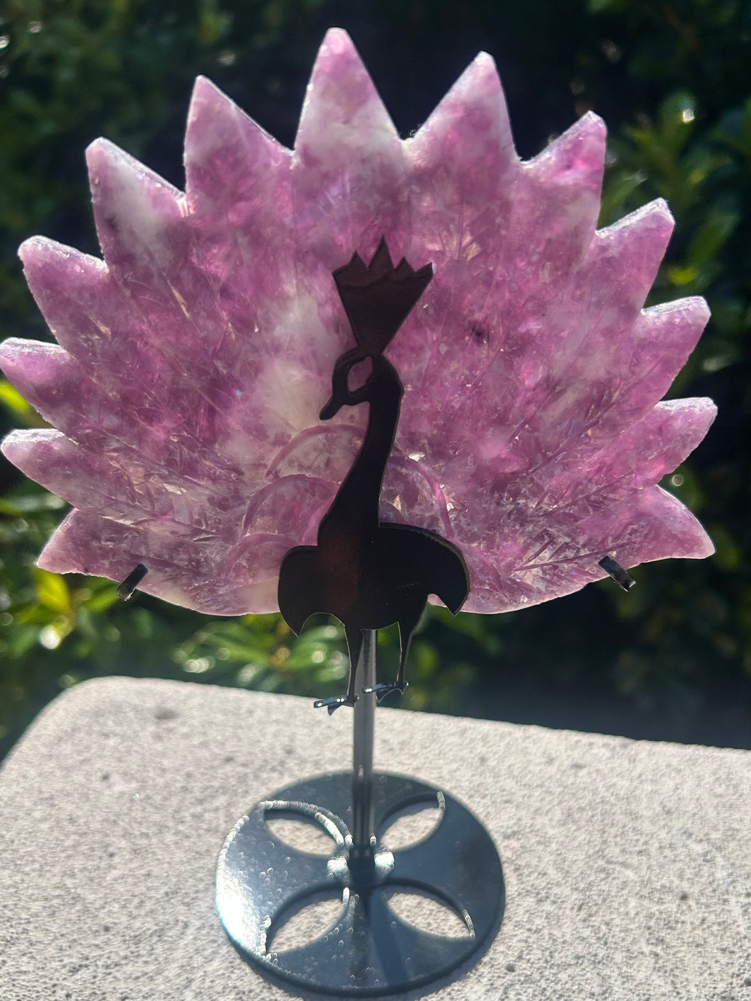Lepidolite Peacock
