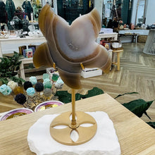 Load image into Gallery viewer, Agate Starfish
