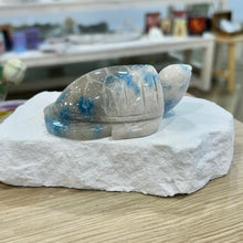 Load image into Gallery viewer, Trolliete Turtle
