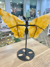 Load image into Gallery viewer, Golden Healer Butterfly
