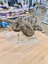 Load image into Gallery viewer, Picture Jasper Snake
