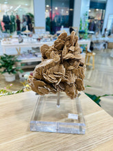 Load image into Gallery viewer, Desert Rose
