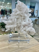 Load image into Gallery viewer, Clear Quartz Cluster
