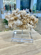 Load image into Gallery viewer, White Stalactite Calcite Cluster
