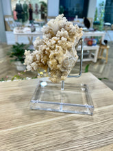 Load image into Gallery viewer, White Stalactite Calcite Cluster
