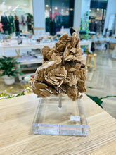 Load image into Gallery viewer, Desert Rose
