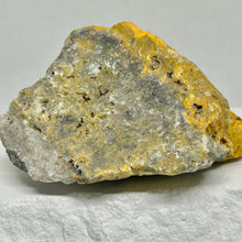 Load image into Gallery viewer, Bumblebee Jasper Raw
