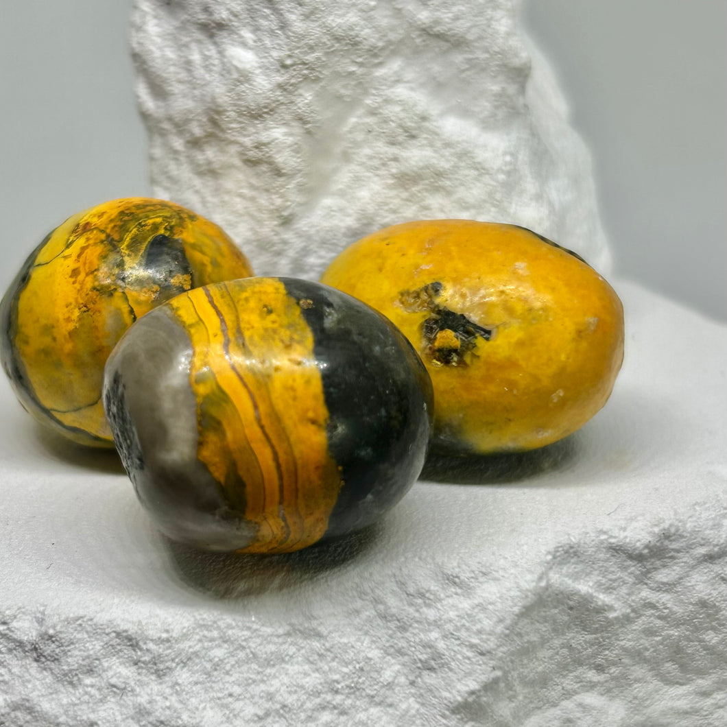 Bumblebee Jasper Tumbles