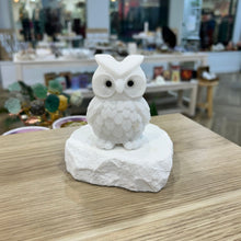 Load image into Gallery viewer, White Jade Owl
