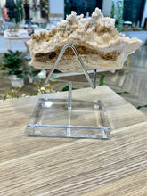 Load image into Gallery viewer, White Stalactite Calcite Cluster
