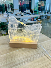 Load image into Gallery viewer, Selenite Lamp
